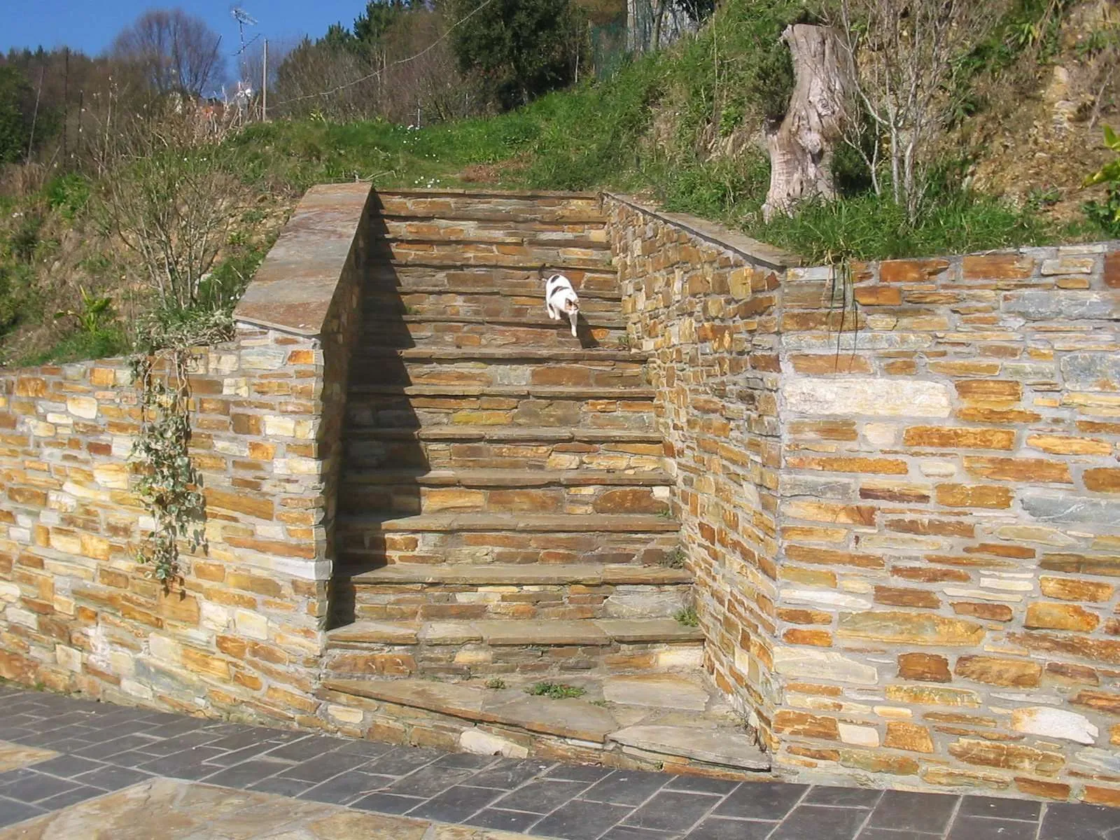 taco piedra cuarcita colocado