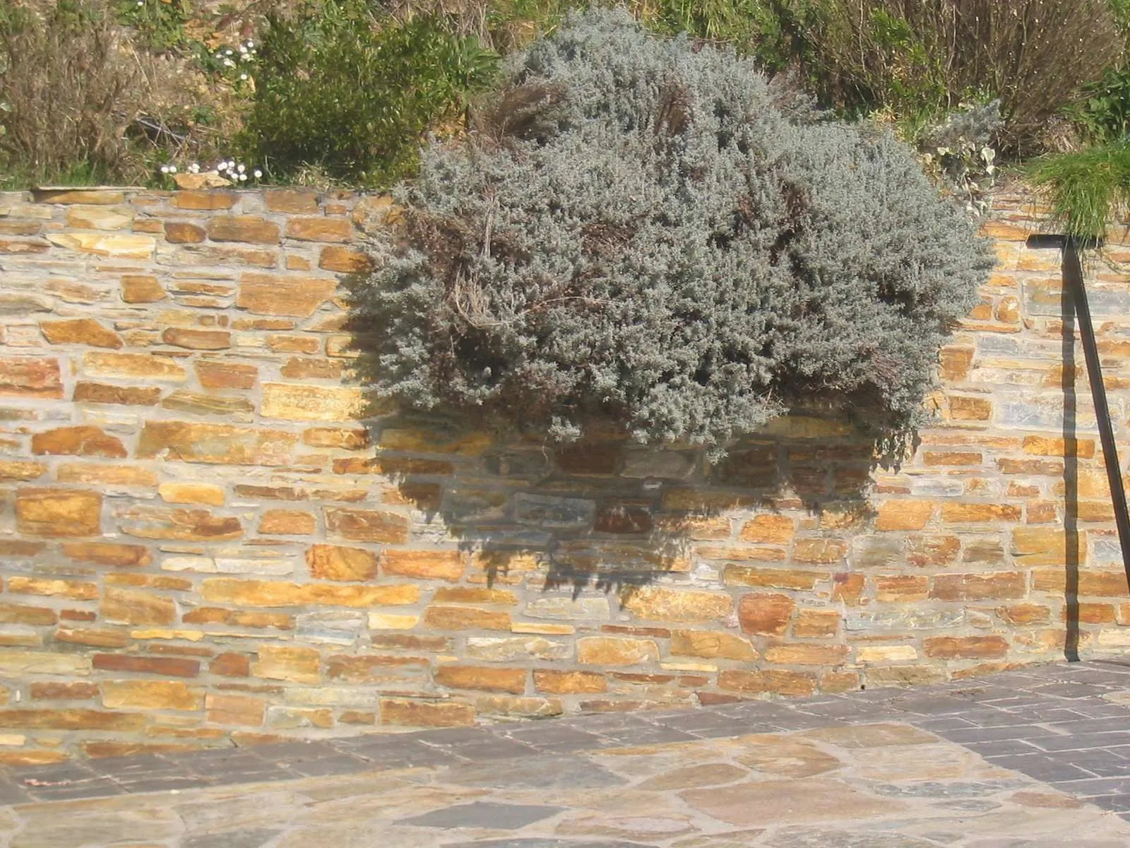 taco piedra cuarcita colocado