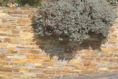 Muro piedra rústica