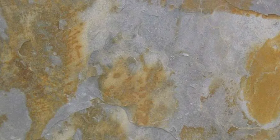 Muestra metacuarcita